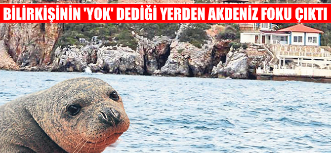 Bilirkişilerin ‘Yok’ dediği yerden ‘fok’ çıktı