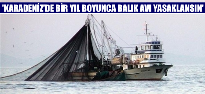'Karadeniz'de balık avı bir yıl yasaklansın' önerisi