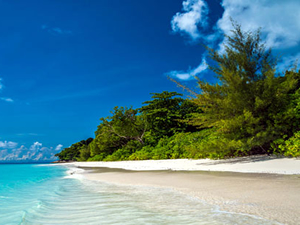 Tayland mercan adalarını turizme kapatıyor