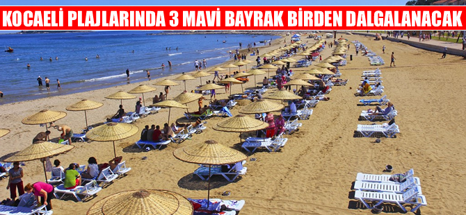 Kocaeli plajlarında 3 Mavi Bayrak birden dalgalanacak