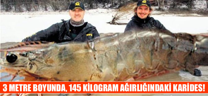 Kanadalı iki kafadar bilim insanlarını bile kandırdılar!