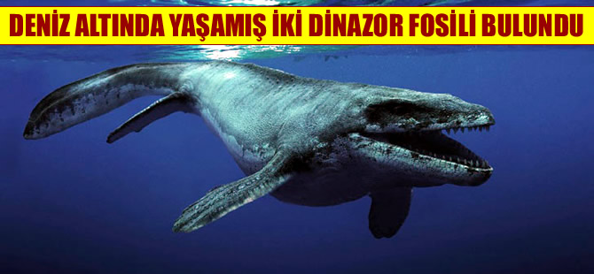 Antarktika'da su altında yaşamış iki dinozor türü keşfedildi