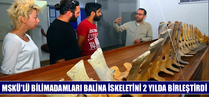 Balina iskeleti Muğla Sıtkı Koçman Üniversitesi'nde 2 yılda birleştirildi