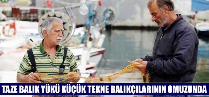 ‘Taze balık’ yükü, küçük tekneli balıkçıların omuzlarında