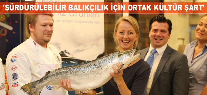 Türkiye’de 1960 yılından bu yana 25 tür balığın nesli tükendi