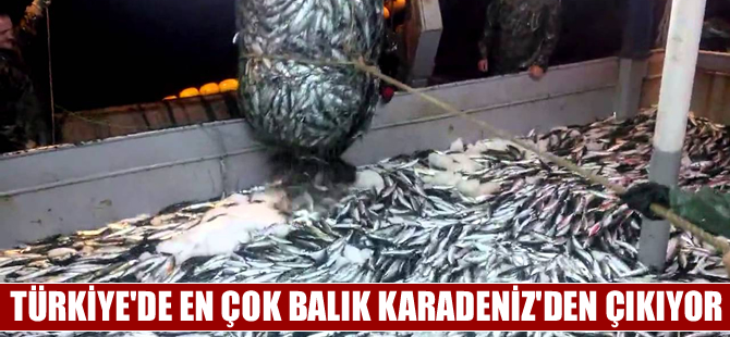 Kişi başına balık tüketimi dünyada 15, Türkiye'de 5 kilo