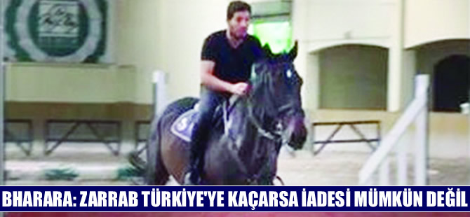 'Zarrab Türkiye’ye kaçarsa iadesi mümkün değil, rüşvetle işini görür'