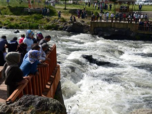İnci kefalinin 'Görsel Şöleni" büyülüyor