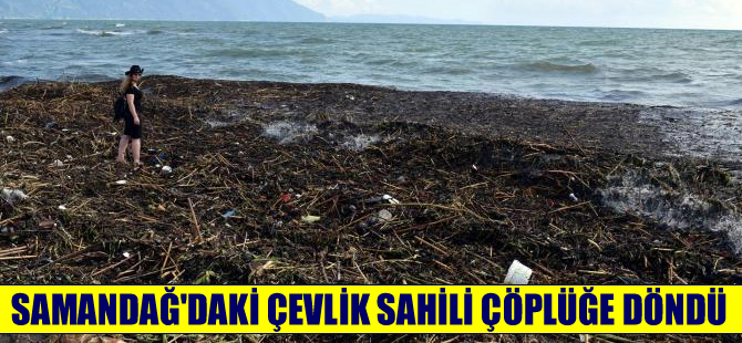 Hatay Samandağ Çevlik Sahili çöplüğe döndü