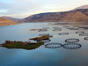 Adıyaman’ın yüzen adaları karaya zincirlendi