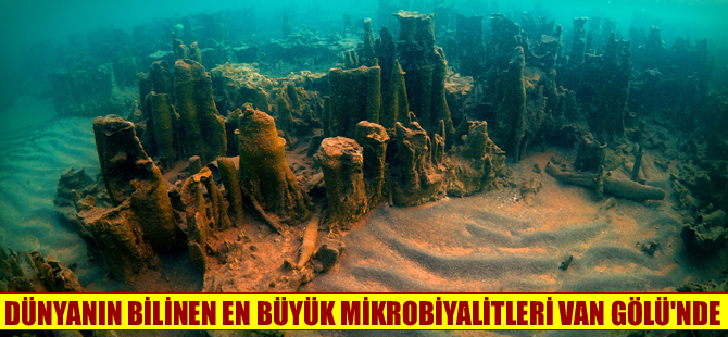 Dünyanın en büyük mikrobiyalitleri Van Gölü'nde