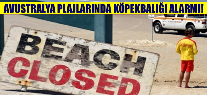 Avusturalya'da köpekbalığı saldırılarının ardı arkası kesilmiyor