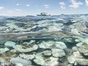Dünyadaki fosil rezervleri yakınca 10 derece ısınacağız