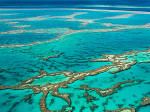 Küresel ısınma Büyük Bariyer Resifi’ni de vurdu!