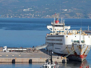 Bandırma'ya turist yerine gemiyle 5 bin 700 dana geldi