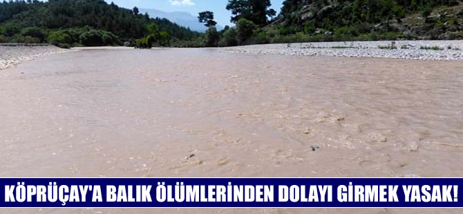 Köprüçay’a balık ölümleri nedeniyle girmek yasaklandı