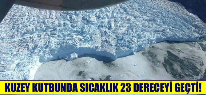 Kuzey Kutbu'nda  korkutan sıcaklık: 23.8 dereceyi buldu