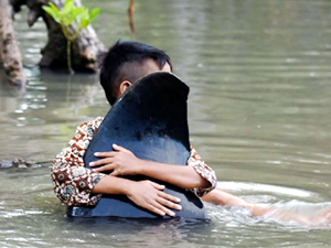 Endonezya'da 32 balina karaya vurdu