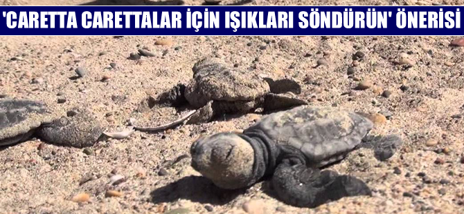 "Caretta carettalar için ışıkları söndürün"  önerisi