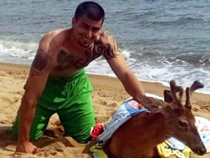 New Yorklu balıkçılar okyanusta köpekbalığı yerine geyik yakaladı