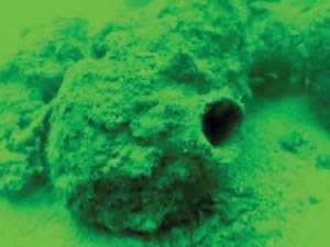 Marmara Denizi'nde antik kent bulundu