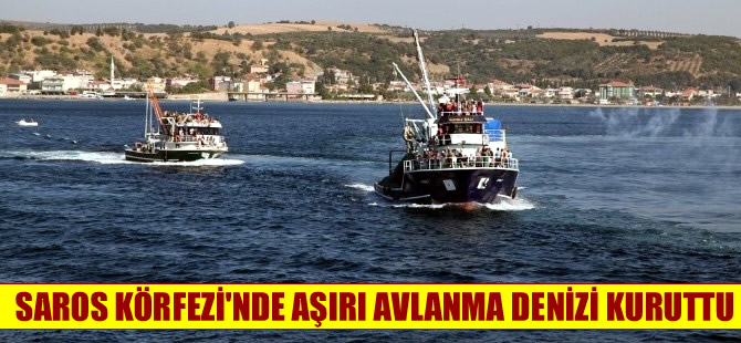 Saros Körfezi’ndeki aşırı avlanma balık neslini kuruttu