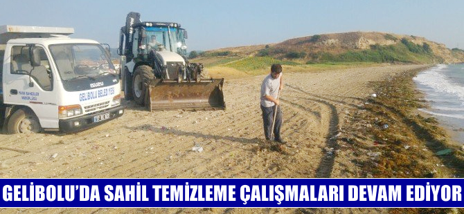 Gelibolu'da sahil temizliği çalışmaları devam ediyor