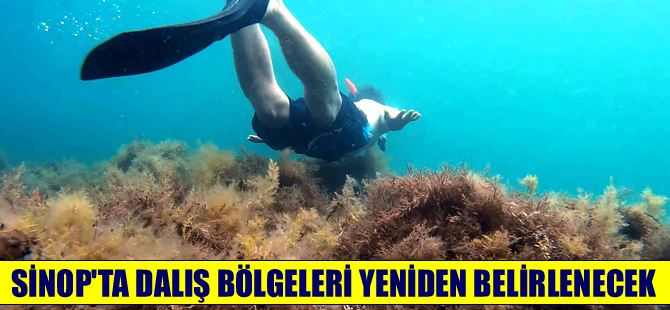 Sinop'ta liman bölgesinde dalış alanları yeniden belirlenecek