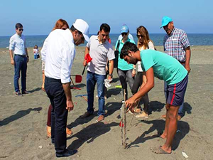 Hatay’da deniz kaplumbağası yuvaları için özel önlem alındı