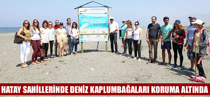 Hatay’da deniz kaplumbağası yuvaları için özel önlem alındı