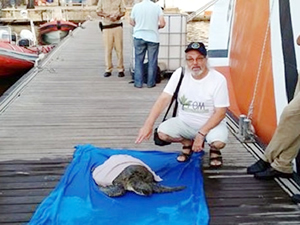 Yaralı kurtarılan caretta caretta DEKAMER’de tedaviye alındı