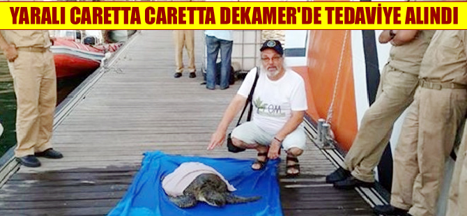Yaralı kurtarılan caretta caretta DEKAMER’de tedaviye alındı