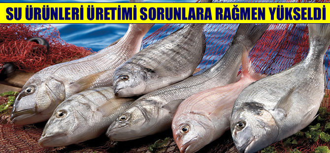 Ekrem Demirtaş:  Su ürünleri OSB kurmak istiyoruz