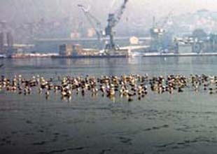 Taşkızak Tersanesi Haliç'ten taşınıyor