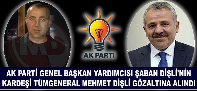 AKP Genel Başkan Yardımcısı Şaban Dişli'nin kardeşi Mehmet Dişli'de darbeci çıktı