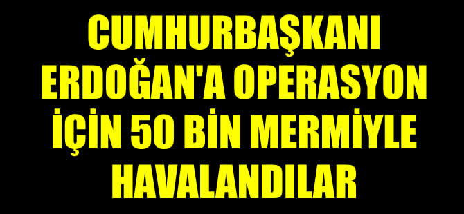 Cumhurbaşkanı Erdoğan'a operasyon için 50 bin mermiyle havalandılar