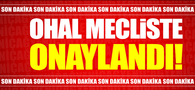 Olağanüstü Hal Tezkeresi, TBMM'de 346 oyla kabul edildi