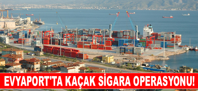 Evyaport'da gemideki konteynerde 450 bin paket kaçak sigara yakalandı