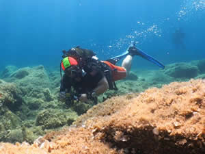 Ayvalık dalış turizminde Kızıldeniz'i aratmıyor