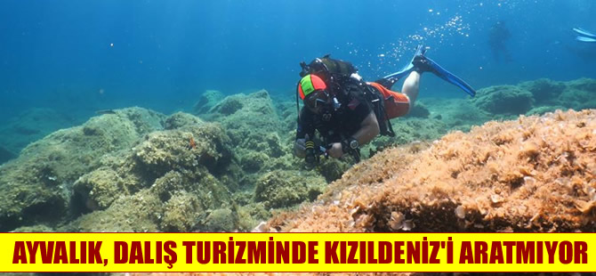 Ayvalık dalış turizminde Kızıldeniz'i aratmıyor