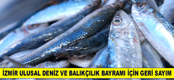 Ege'nin sardalyası 5-7 Ağustos’ta  görücüye çıkıyor