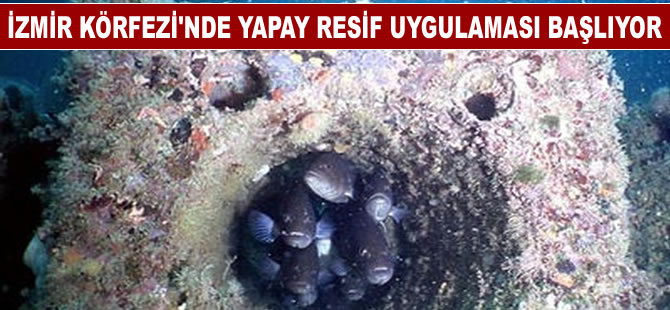 İzmir Körfezi'ne yapay resif uygulaması başlıyor