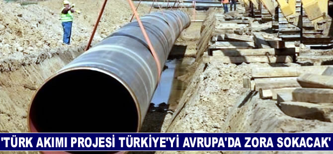 Aleksey Grivach "Türk Akımı Türkiye'yi zora sokacak"