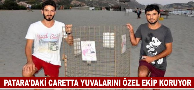 Patara Plajı'nda 195 caretta yuvasını özel ekip koruyor