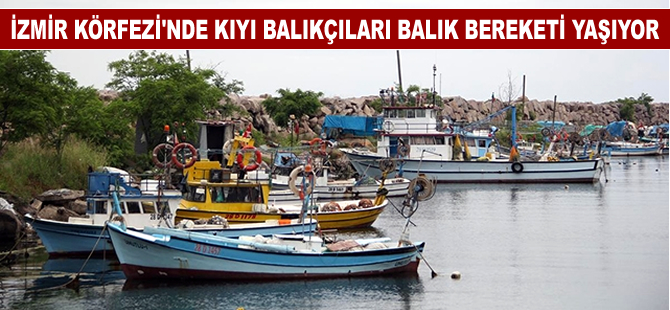 İzmir Körfezi'nde balık bereketi yaşanıyor