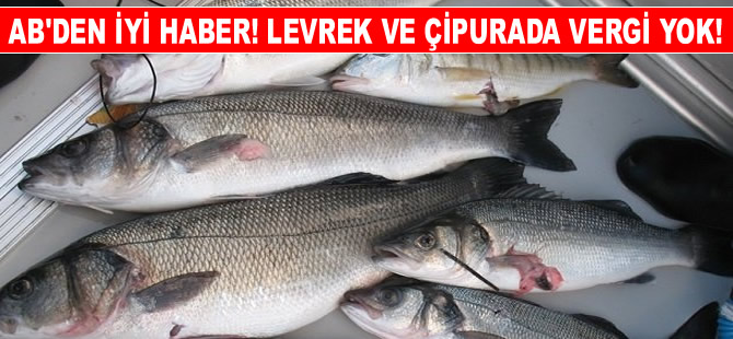 AB’den iyi haber! Çipura ve Levrek için vergi yok