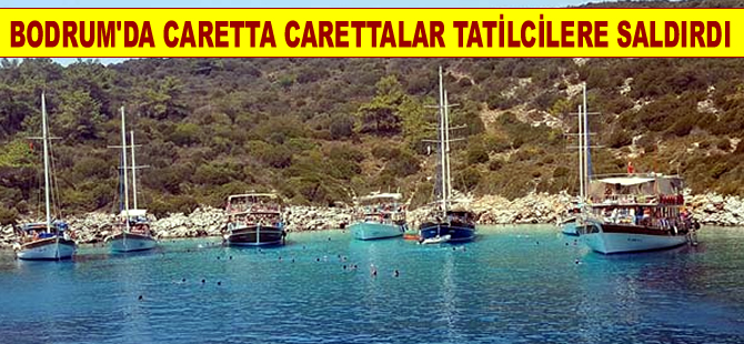 Orak Adası'nda  caretta carettalar 5 kişiyi yaraladı
