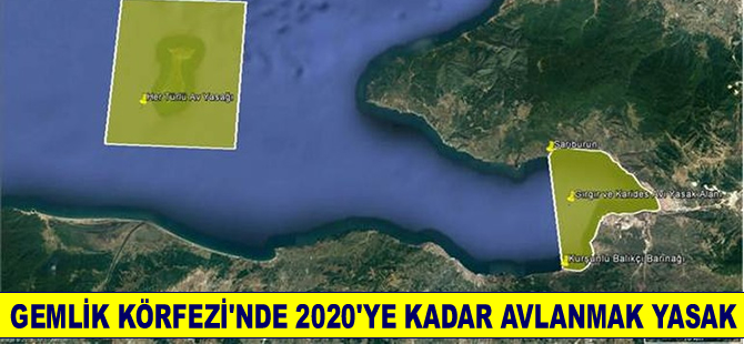 Gemlik Körfezi'nde 2016 ile 2020 yılları arasında avlanmak yasaklandı