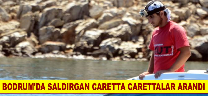 Ekipler Orak Adası'nda saldırgan carettaları arıyor
