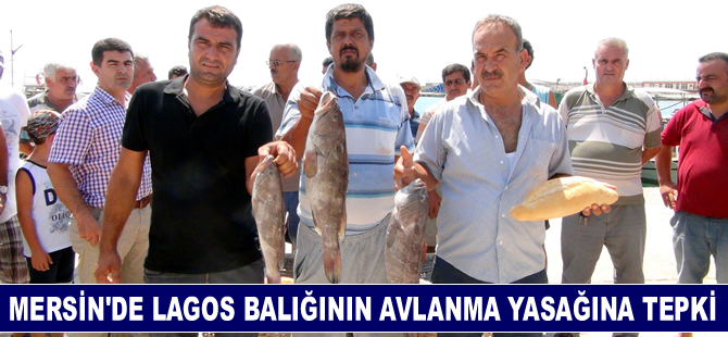 Mersin'de lagos balığının avlanma yasağına tepki